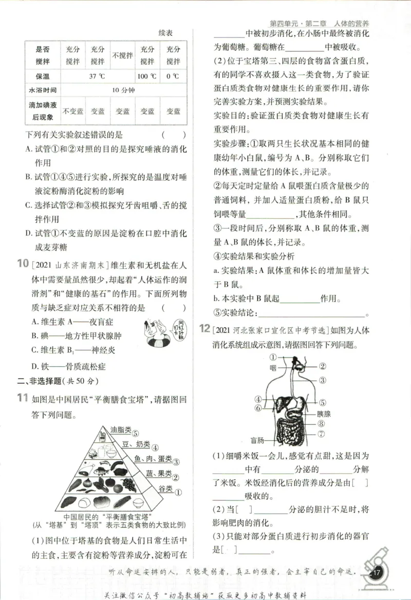 七年级下册生物人教版_2、2025初中必刷题合集_初中必刷题23+24+25上册_25初中必刷_可信网络等多个文件_初中必刷题_历年必刷题和24上册_2023版_01.2023版七年必刷题_06.1生物-人教版-上下两册