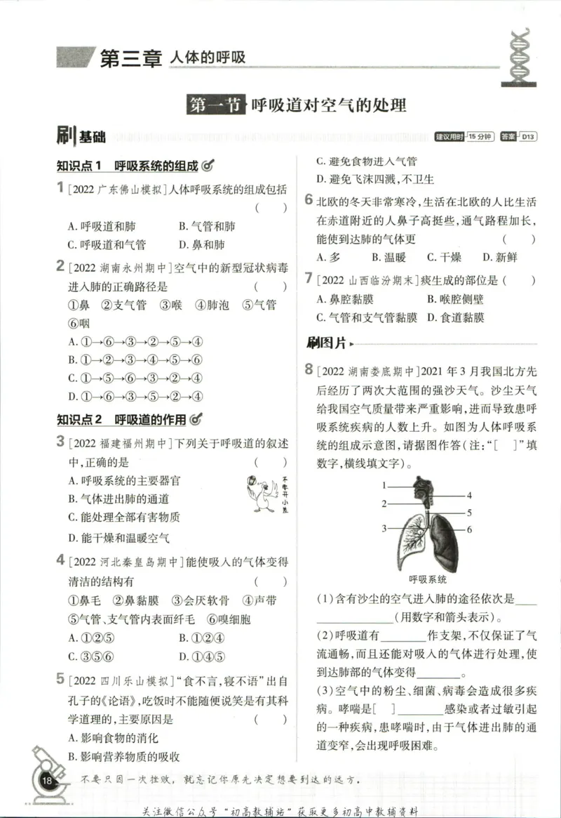 七年级下册生物人教版_2、2025初中必刷题合集_初中必刷题23+24+25上册_25初中必刷_可信网络等多个文件_初中必刷题_历年必刷题和24上册_2023版_01.2023版七年必刷题_06.1生物-人教版-上下两册