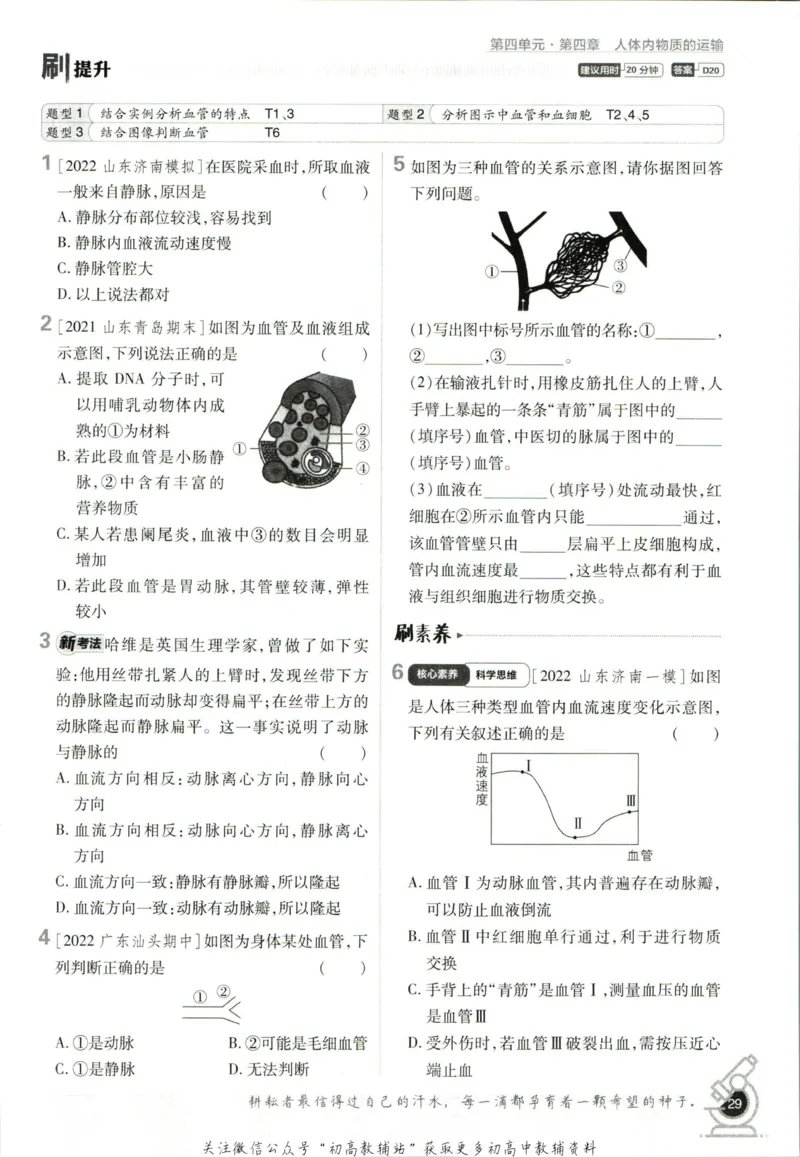 七年级下册生物人教版_2、2025初中必刷题合集_初中必刷题23+24+25上册_25初中必刷_可信网络等多个文件_初中必刷题_历年必刷题和24上册_2023版_01.2023版七年必刷题_06.1生物-人教版-上下两册