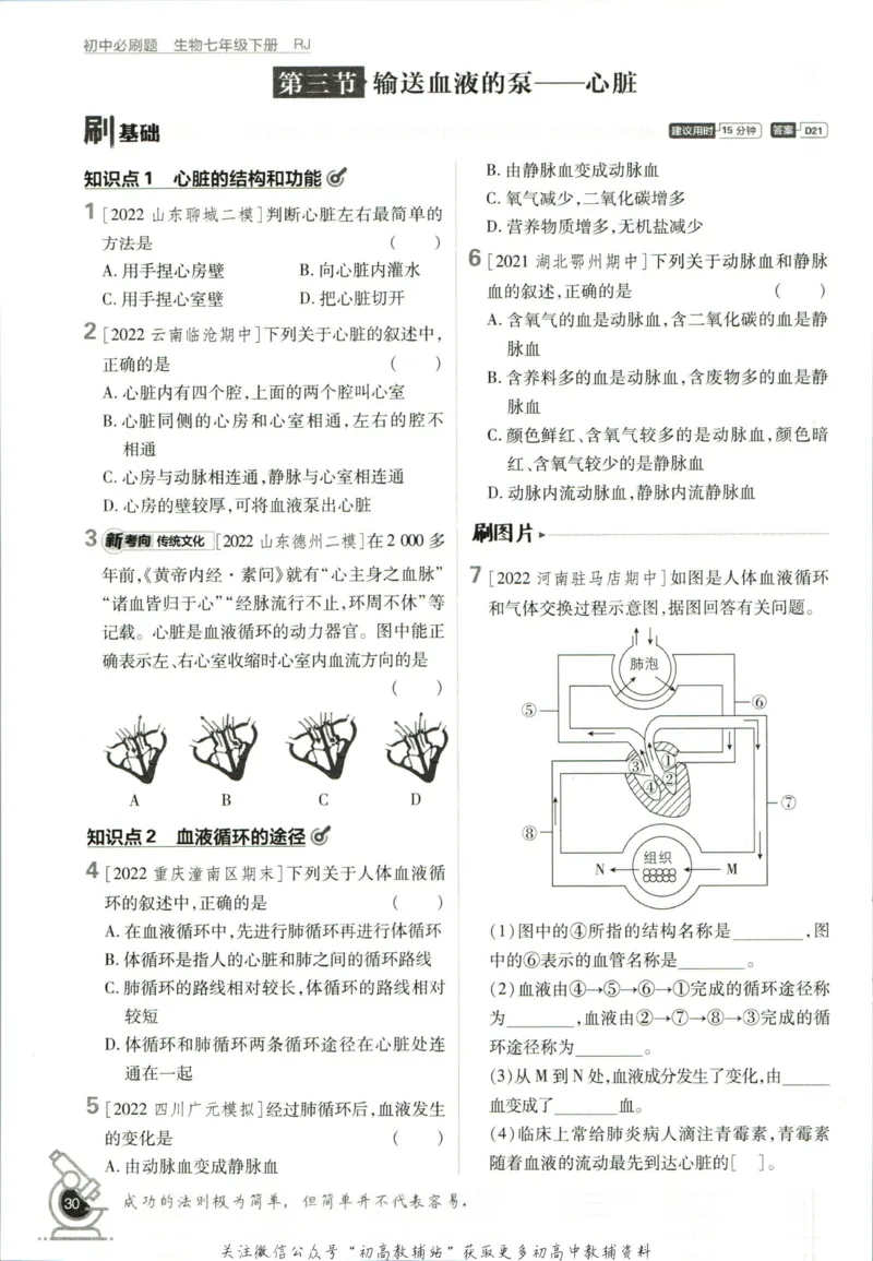 七年级下册生物人教版_2、2025初中必刷题合集_初中必刷题23+24+25上册_25初中必刷_可信网络等多个文件_初中必刷题_历年必刷题和24上册_2023版_01.2023版七年必刷题_06.1生物-人教版-上下两册