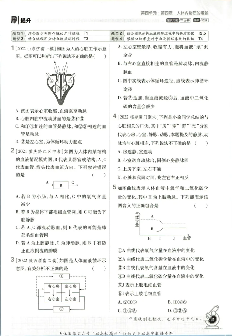 七年级下册生物人教版_2、2025初中必刷题合集_初中必刷题23+24+25上册_25初中必刷_可信网络等多个文件_初中必刷题_历年必刷题和24上册_2023版_01.2023版七年必刷题_06.1生物-人教版-上下两册