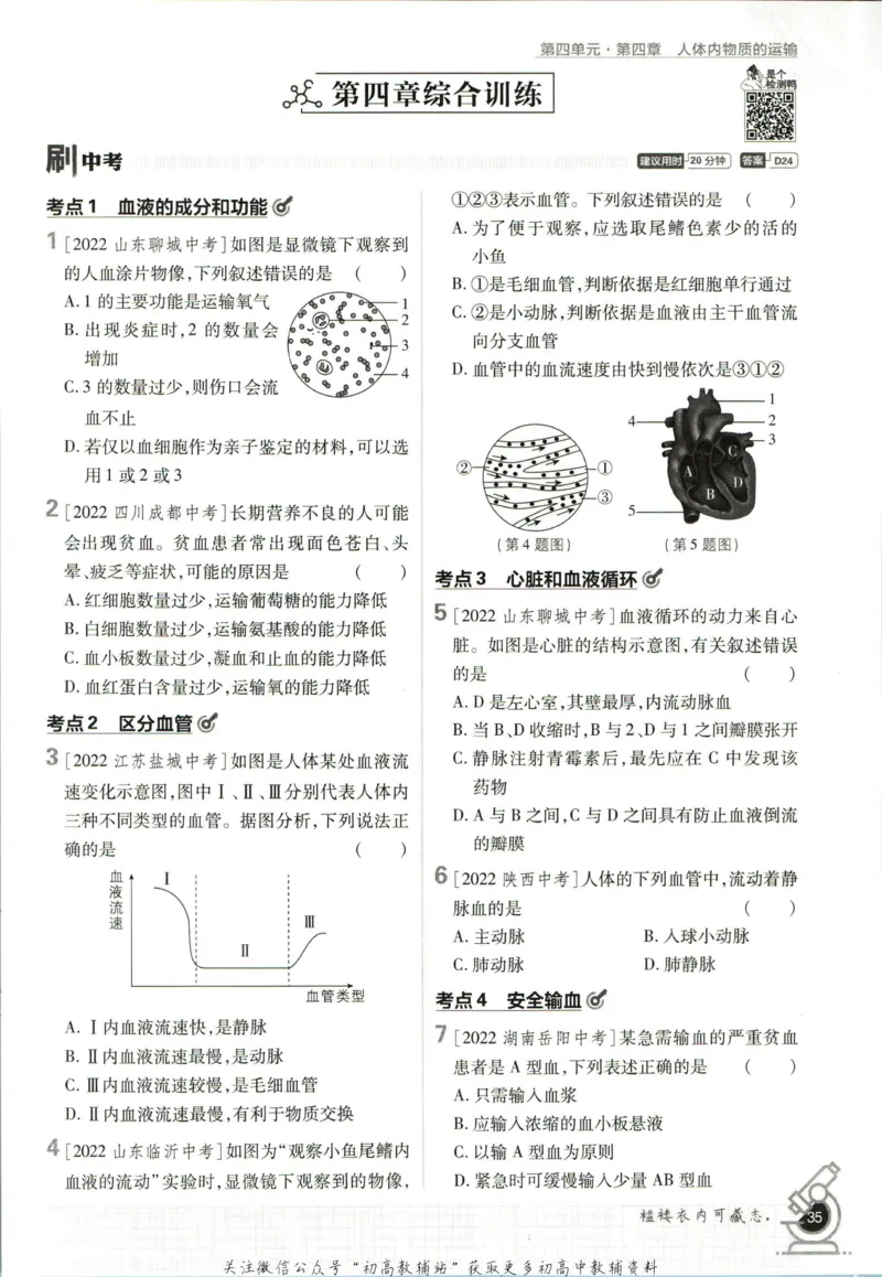 七年级下册生物人教版_2、2025初中必刷题合集_初中必刷题23+24+25上册_25初中必刷_可信网络等多个文件_初中必刷题_历年必刷题和24上册_2023版_01.2023版七年必刷题_06.1生物-人教版-上下两册