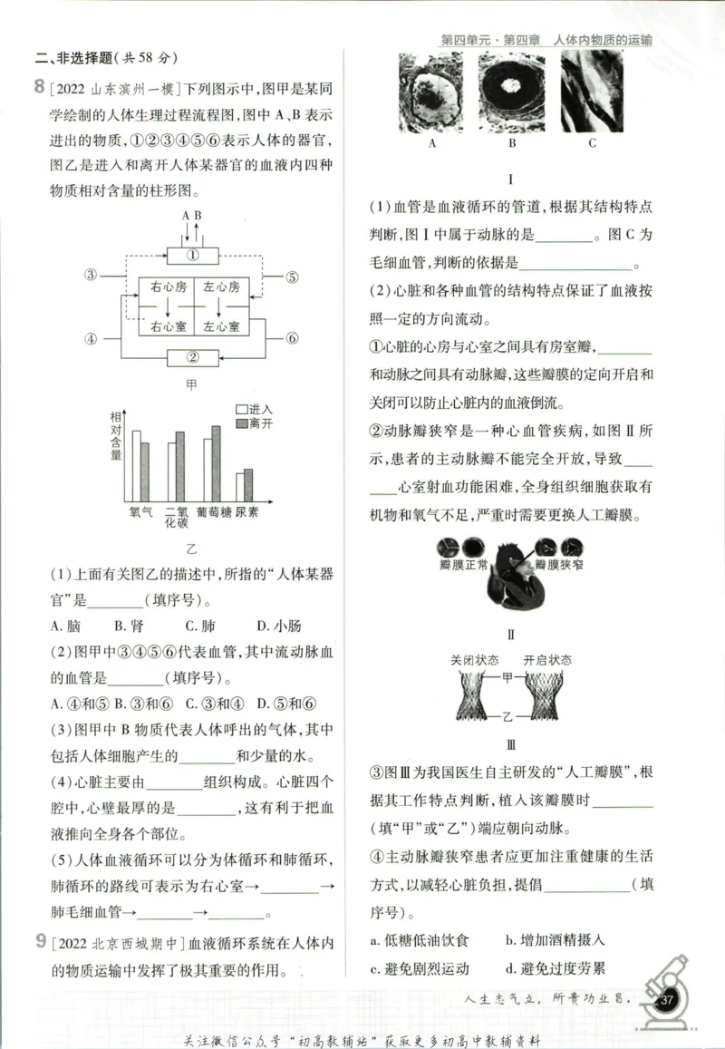 七年级下册生物人教版_2、2025初中必刷题合集_初中必刷题23+24+25上册_25初中必刷_可信网络等多个文件_初中必刷题_历年必刷题和24上册_2023版_01.2023版七年必刷题_06.1生物-人教版-上下两册