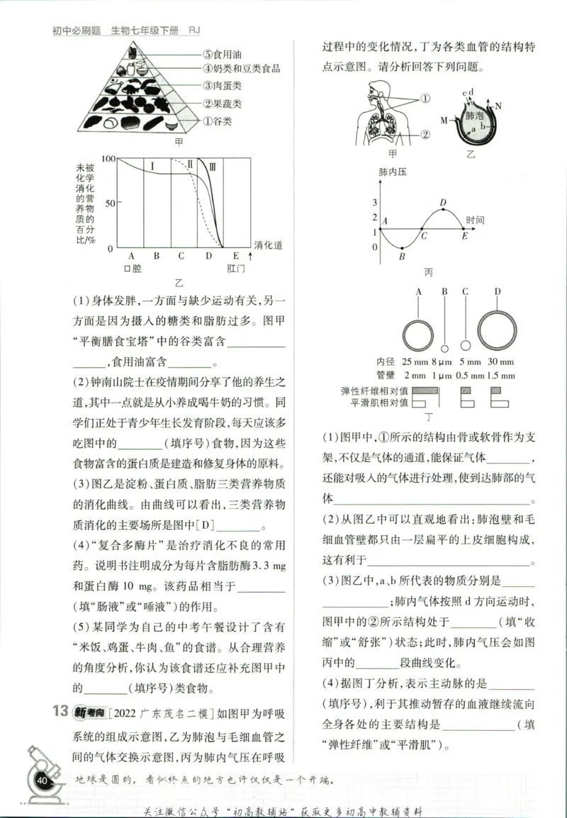 七年级下册生物人教版_2、2025初中必刷题合集_初中必刷题23+24+25上册_25初中必刷_可信网络等多个文件_初中必刷题_历年必刷题和24上册_2023版_01.2023版七年必刷题_06.1生物-人教版-上下两册