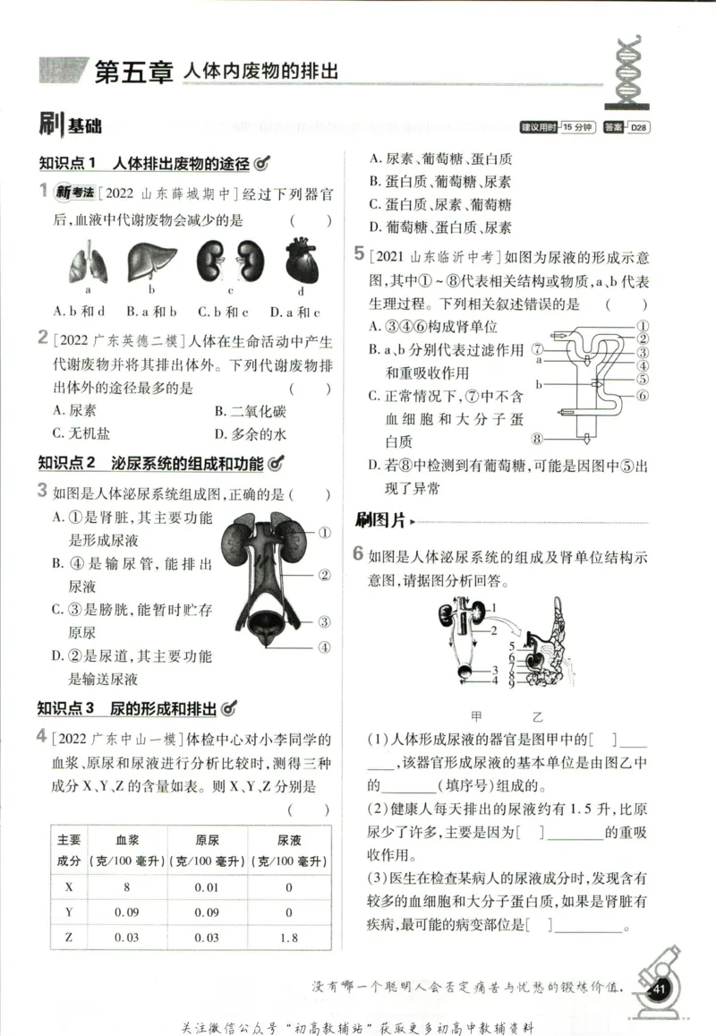 七年级下册生物人教版_2、2025初中必刷题合集_初中必刷题23+24+25上册_25初中必刷_可信网络等多个文件_初中必刷题_历年必刷题和24上册_2023版_01.2023版七年必刷题_06.1生物-人教版-上下两册