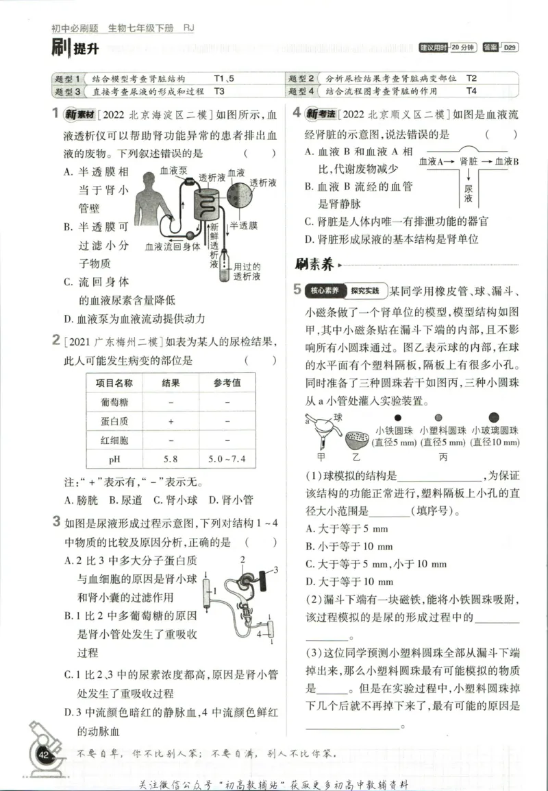 七年级下册生物人教版_2、2025初中必刷题合集_初中必刷题23+24+25上册_25初中必刷_可信网络等多个文件_初中必刷题_历年必刷题和24上册_2023版_01.2023版七年必刷题_06.1生物-人教版-上下两册