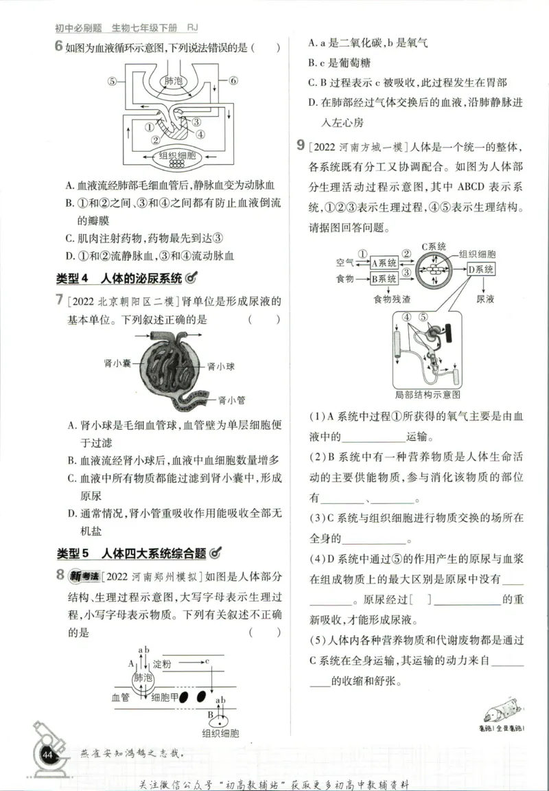 七年级下册生物人教版_2、2025初中必刷题合集_初中必刷题23+24+25上册_25初中必刷_可信网络等多个文件_初中必刷题_历年必刷题和24上册_2023版_01.2023版七年必刷题_06.1生物-人教版-上下两册