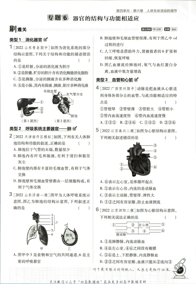 七年级下册生物人教版_2、2025初中必刷题合集_初中必刷题23+24+25上册_25初中必刷_可信网络等多个文件_初中必刷题_历年必刷题和24上册_2023版_01.2023版七年必刷题_06.1生物-人教版-上下两册