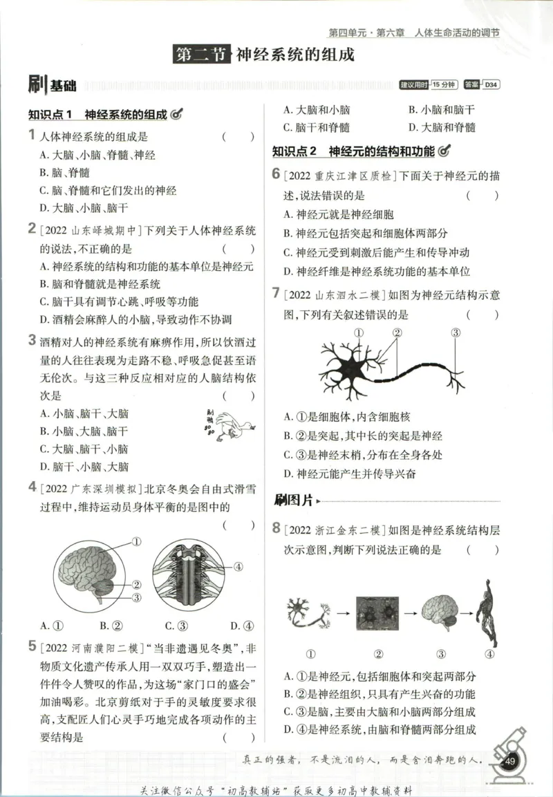 七年级下册生物人教版_2、2025初中必刷题合集_初中必刷题23+24+25上册_25初中必刷_可信网络等多个文件_初中必刷题_历年必刷题和24上册_2023版_01.2023版七年必刷题_06.1生物-人教版-上下两册