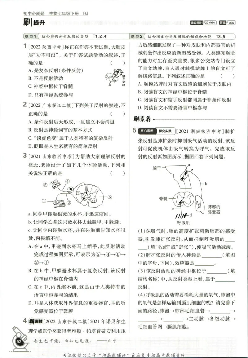 七年级下册生物人教版_2、2025初中必刷题合集_初中必刷题23+24+25上册_25初中必刷_可信网络等多个文件_初中必刷题_历年必刷题和24上册_2023版_01.2023版七年必刷题_06.1生物-人教版-上下两册