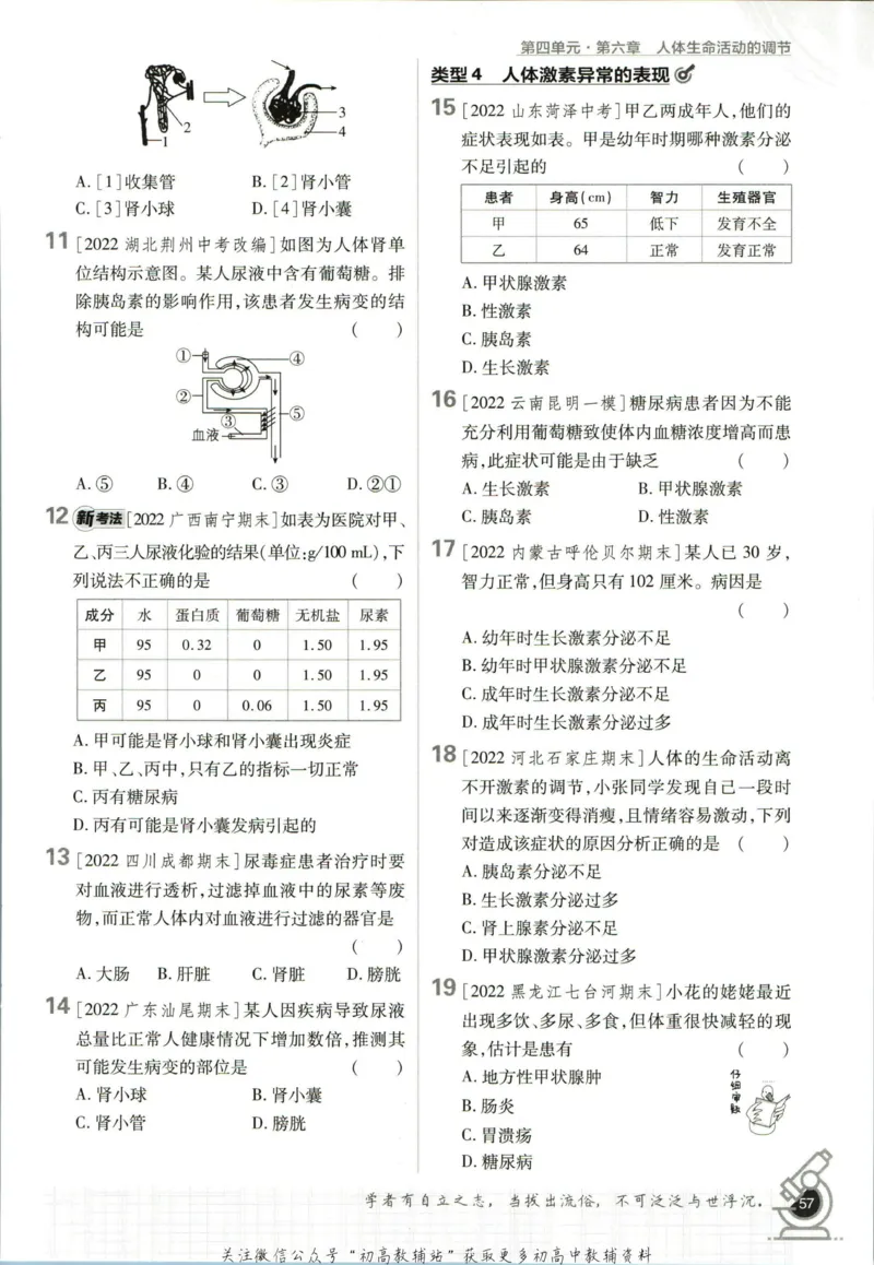 七年级下册生物人教版_2、2025初中必刷题合集_初中必刷题23+24+25上册_25初中必刷_可信网络等多个文件_初中必刷题_历年必刷题和24上册_2023版_01.2023版七年必刷题_06.1生物-人教版-上下两册