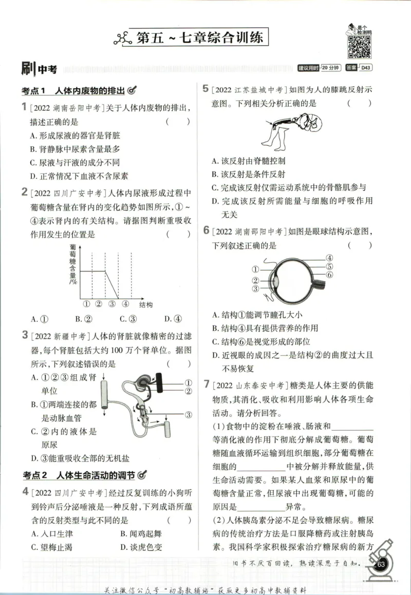 七年级下册生物人教版_2、2025初中必刷题合集_初中必刷题23+24+25上册_25初中必刷_可信网络等多个文件_初中必刷题_历年必刷题和24上册_2023版_01.2023版七年必刷题_06.1生物-人教版-上下两册