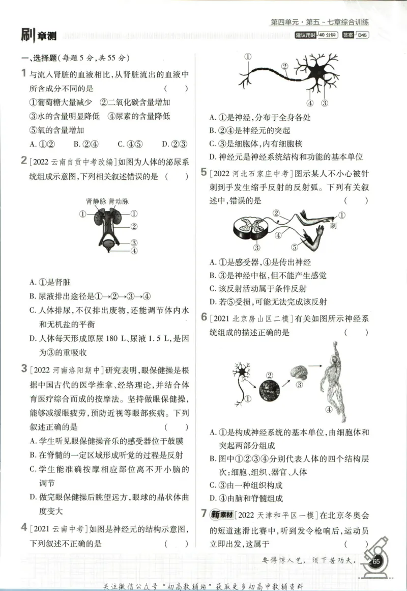 七年级下册生物人教版_2、2025初中必刷题合集_初中必刷题23+24+25上册_25初中必刷_可信网络等多个文件_初中必刷题_历年必刷题和24上册_2023版_01.2023版七年必刷题_06.1生物-人教版-上下两册