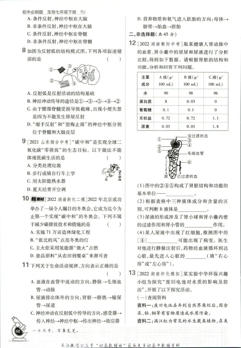 七年级下册生物人教版_2、2025初中必刷题合集_初中必刷题23+24+25上册_25初中必刷_可信网络等多个文件_初中必刷题_历年必刷题和24上册_2023版_01.2023版七年必刷题_06.1生物-人教版-上下两册