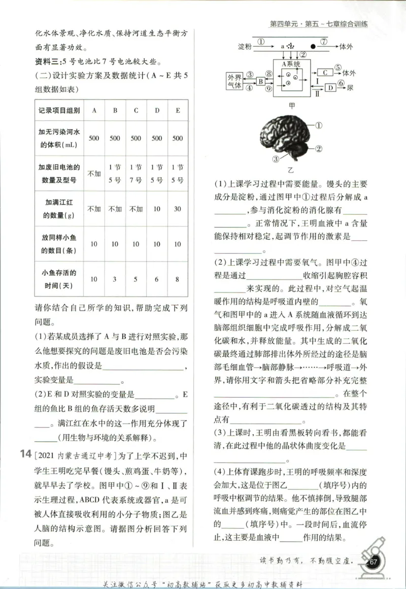 七年级下册生物人教版_2、2025初中必刷题合集_初中必刷题23+24+25上册_25初中必刷_可信网络等多个文件_初中必刷题_历年必刷题和24上册_2023版_01.2023版七年必刷题_06.1生物-人教版-上下两册
