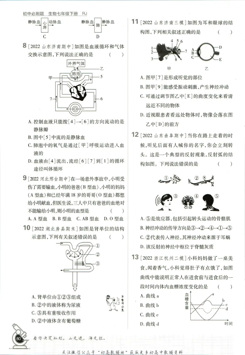 七年级下册生物人教版_2、2025初中必刷题合集_初中必刷题23+24+25上册_25初中必刷_可信网络等多个文件_初中必刷题_历年必刷题和24上册_2023版_01.2023版七年必刷题_06.1生物-人教版-上下两册