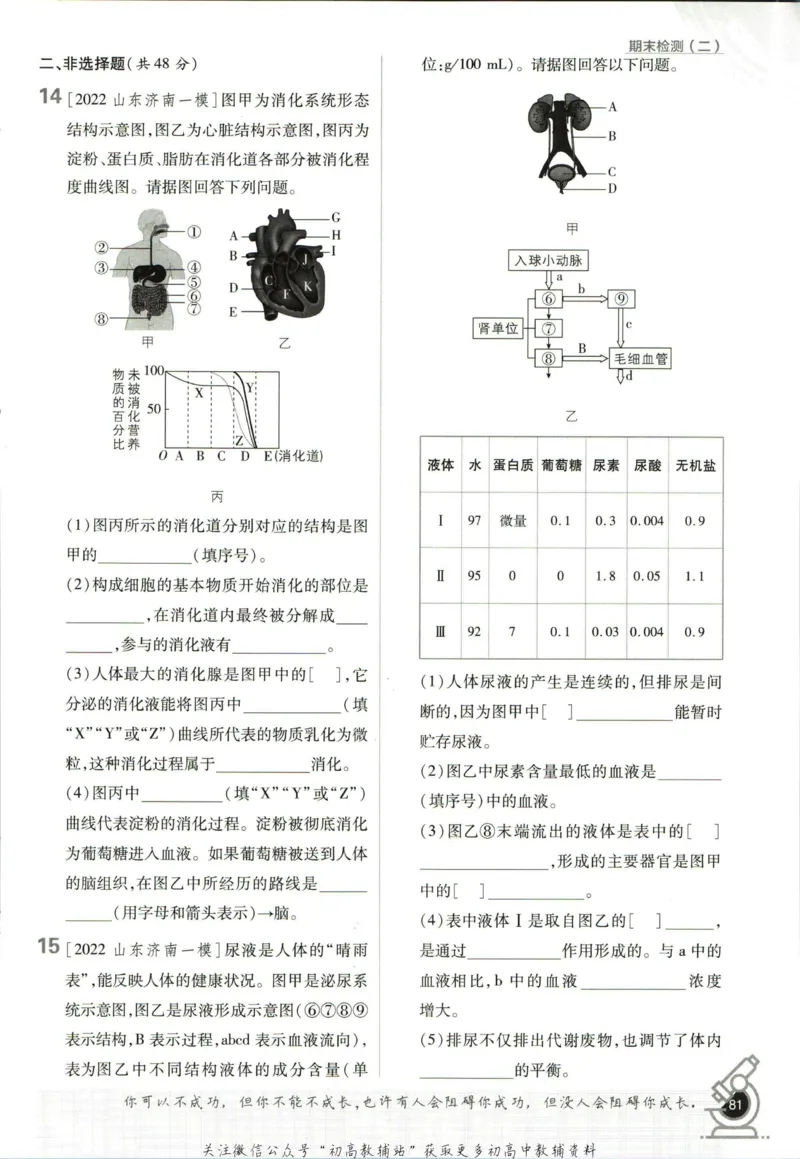 七年级下册生物人教版_2、2025初中必刷题合集_初中必刷题23+24+25上册_25初中必刷_可信网络等多个文件_初中必刷题_历年必刷题和24上册_2023版_01.2023版七年必刷题_06.1生物-人教版-上下两册