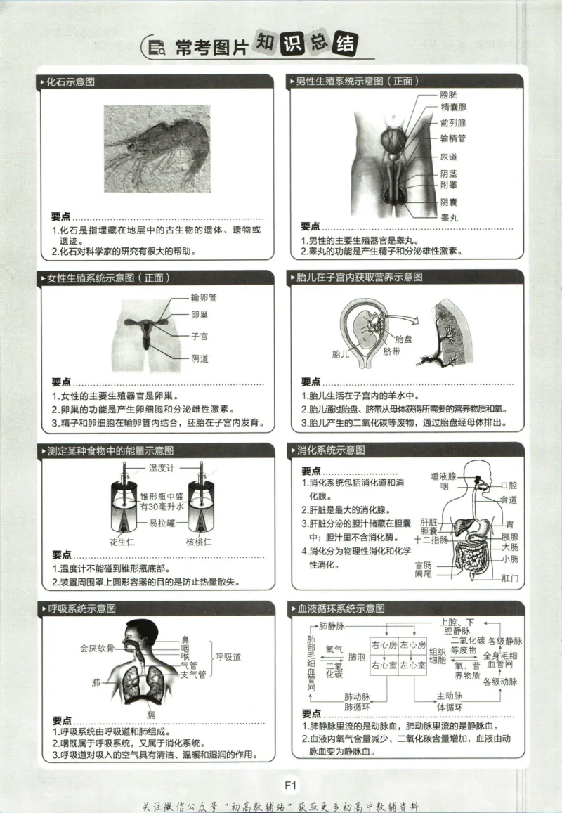 七年级下册生物人教版_2、2025初中必刷题合集_初中必刷题23+24+25上册_25初中必刷_可信网络等多个文件_初中必刷题_历年必刷题和24上册_2023版_01.2023版七年必刷题_06.1生物-人教版-上下两册