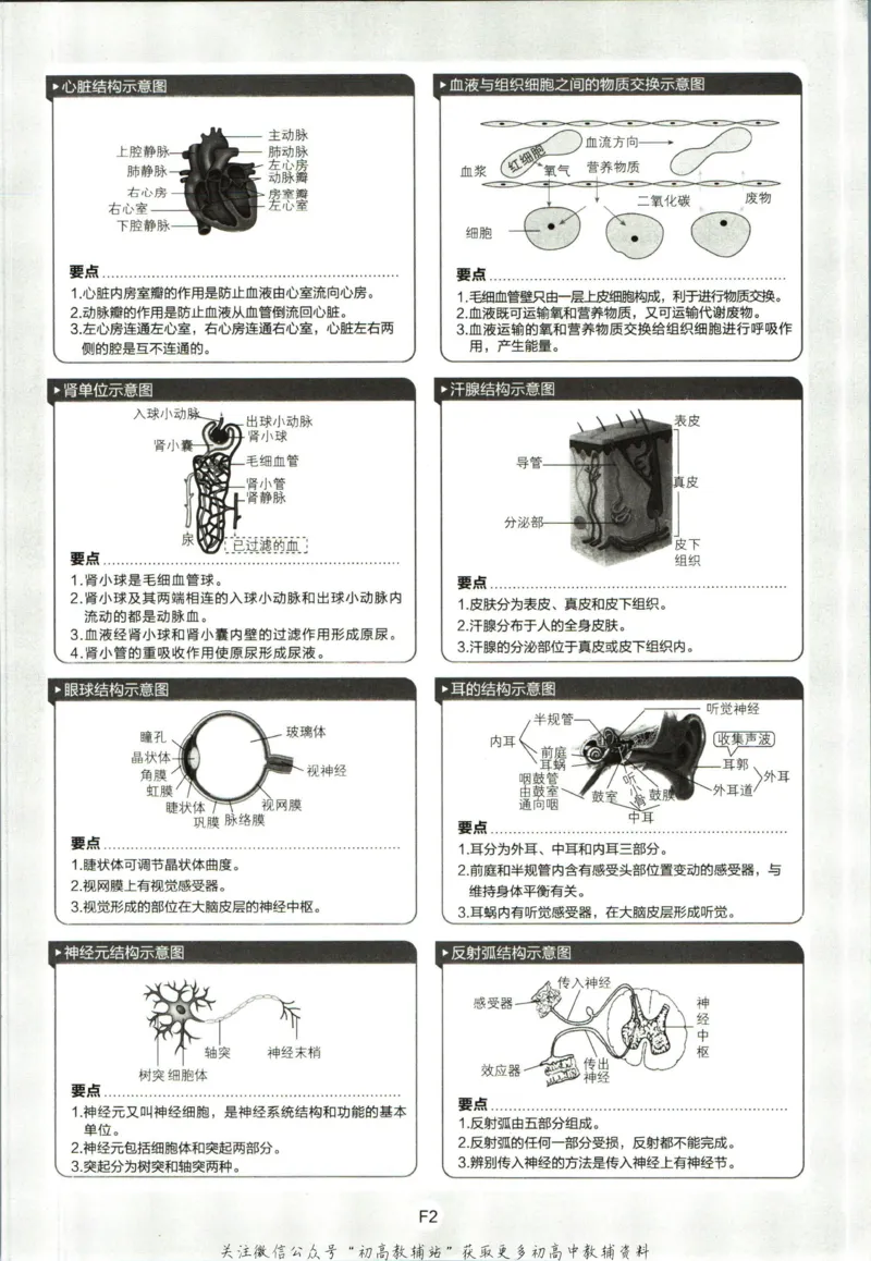 七年级下册生物人教版_2、2025初中必刷题合集_初中必刷题23+24+25上册_25初中必刷_可信网络等多个文件_初中必刷题_历年必刷题和24上册_2023版_01.2023版七年必刷题_06.1生物-人教版-上下两册