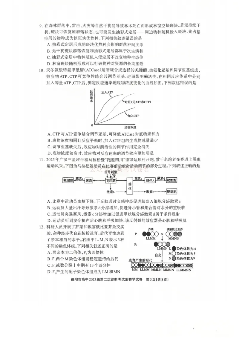 2026届四川省德阳市高三第二次诊断考试生物_副本_2026届四川省德阳市高三第二次诊断考试全科_06生物_四川省德阳市高三第二次诊断考试