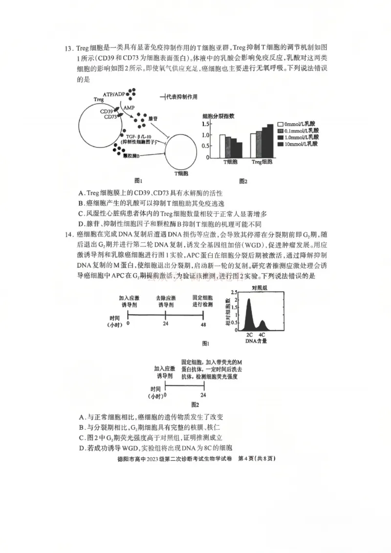2026届四川省德阳市高三第二次诊断考试生物_副本_2026届四川省德阳市高三第二次诊断考试全科_06生物_四川省德阳市高三第二次诊断考试