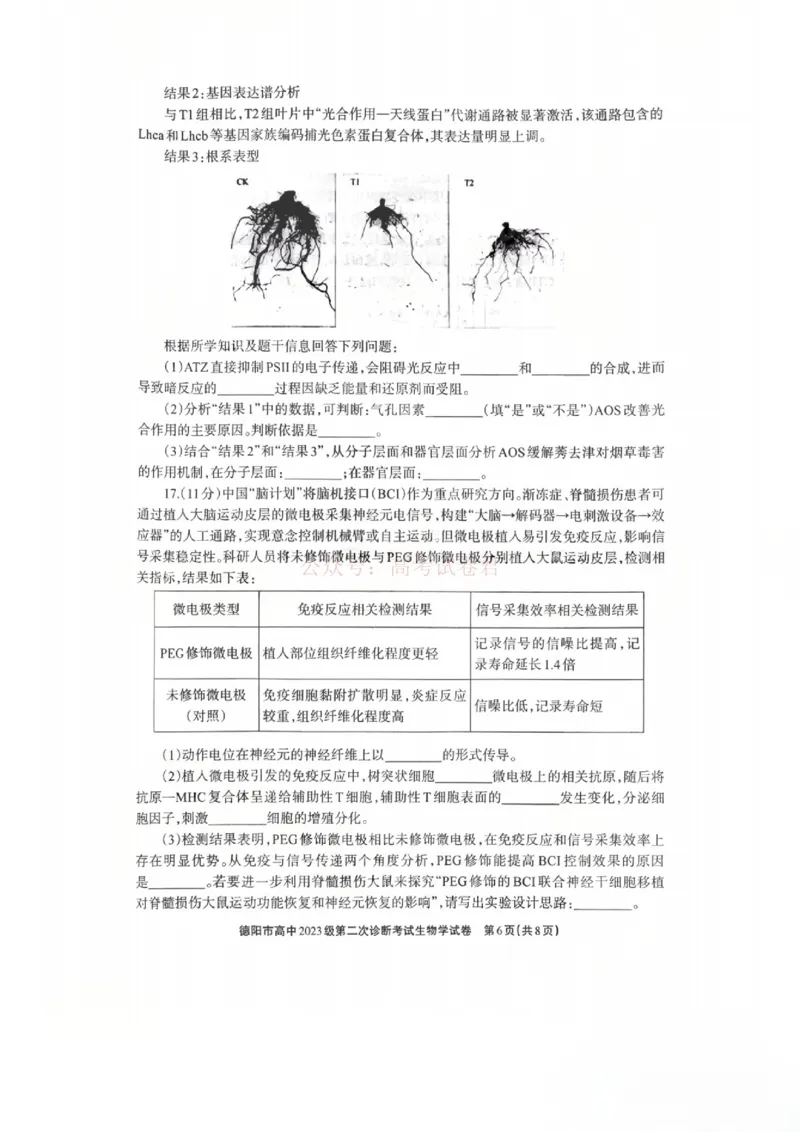 2026届四川省德阳市高三第二次诊断考试生物_副本_2026届四川省德阳市高三第二次诊断考试全科_06生物_四川省德阳市高三第二次诊断考试
