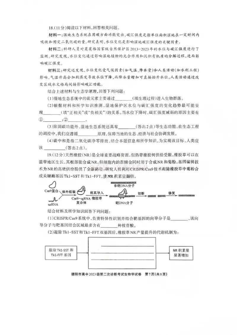 2026届四川省德阳市高三第二次诊断考试生物_副本_2026届四川省德阳市高三第二次诊断考试全科_06生物_四川省德阳市高三第二次诊断考试
