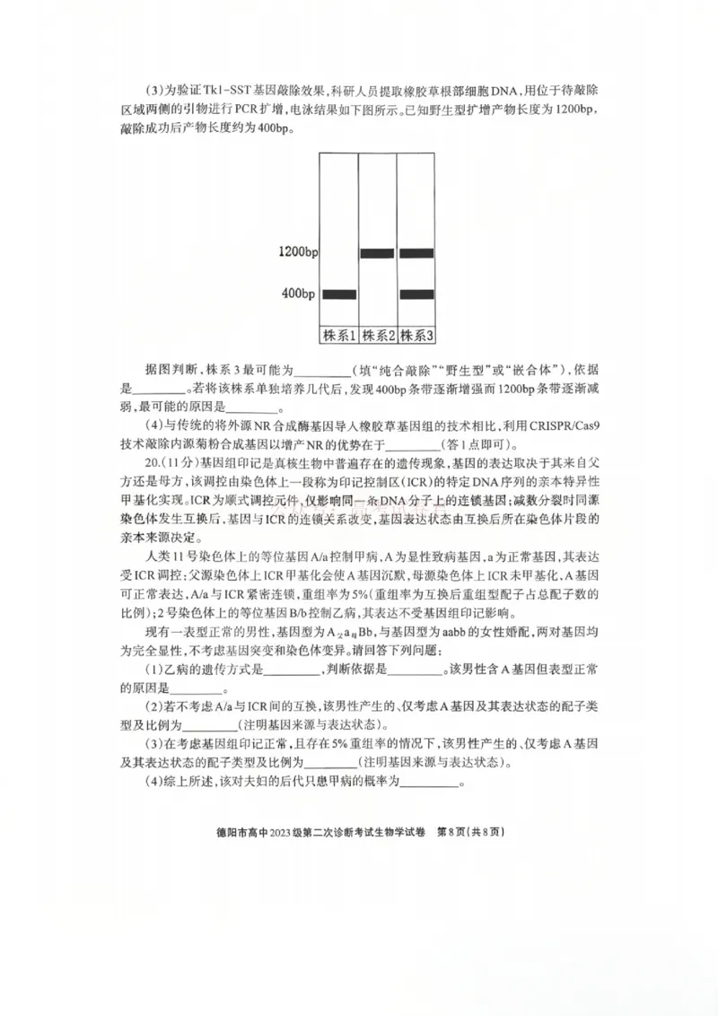 2026届四川省德阳市高三第二次诊断考试生物_副本_2026届四川省德阳市高三第二次诊断考试全科_06生物_四川省德阳市高三第二次诊断考试