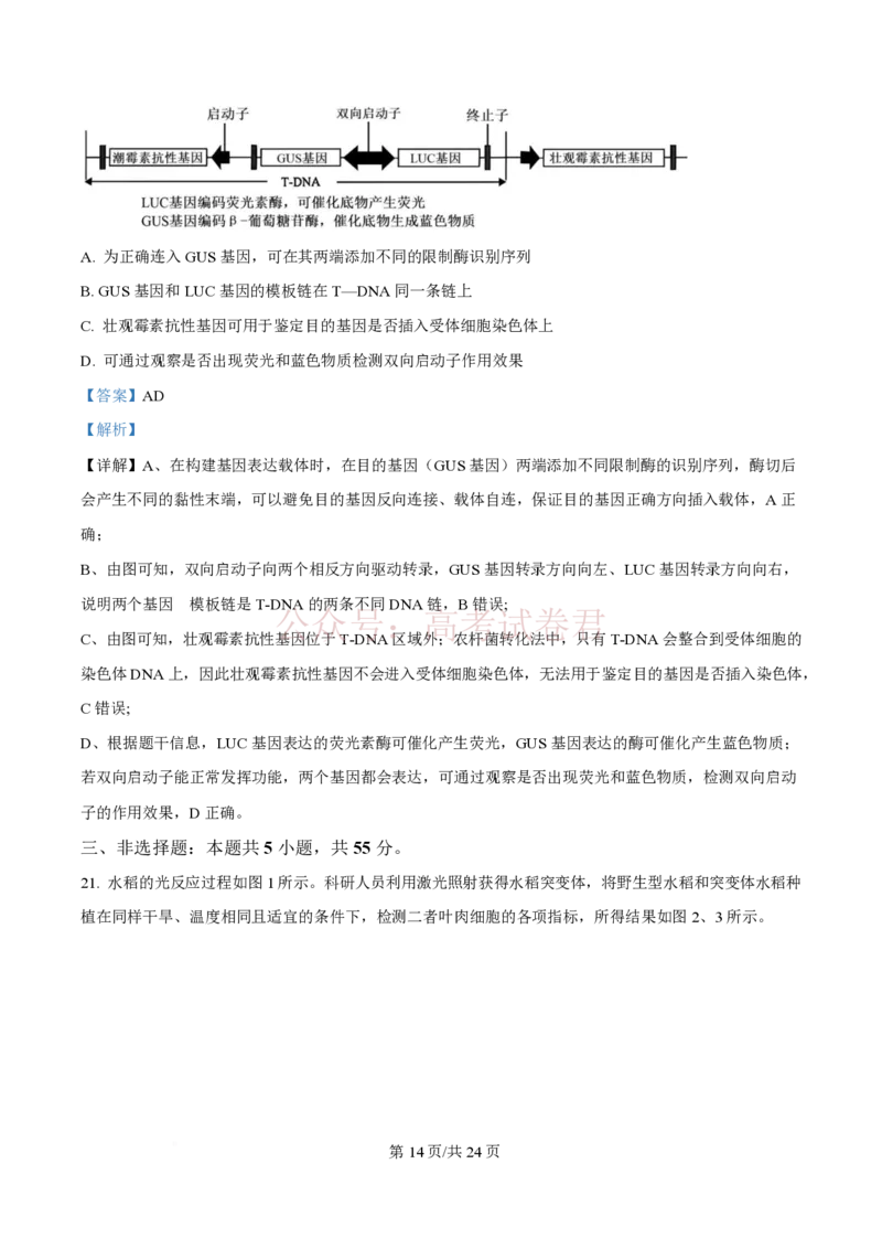 2026届山东九五协作体高三下学期3月学习质量评估（一模）生物（解析版）_2026届山东省九五协作体高三3月学习质量评估_06生物_山东省九五协作体高三3月学习质量评估