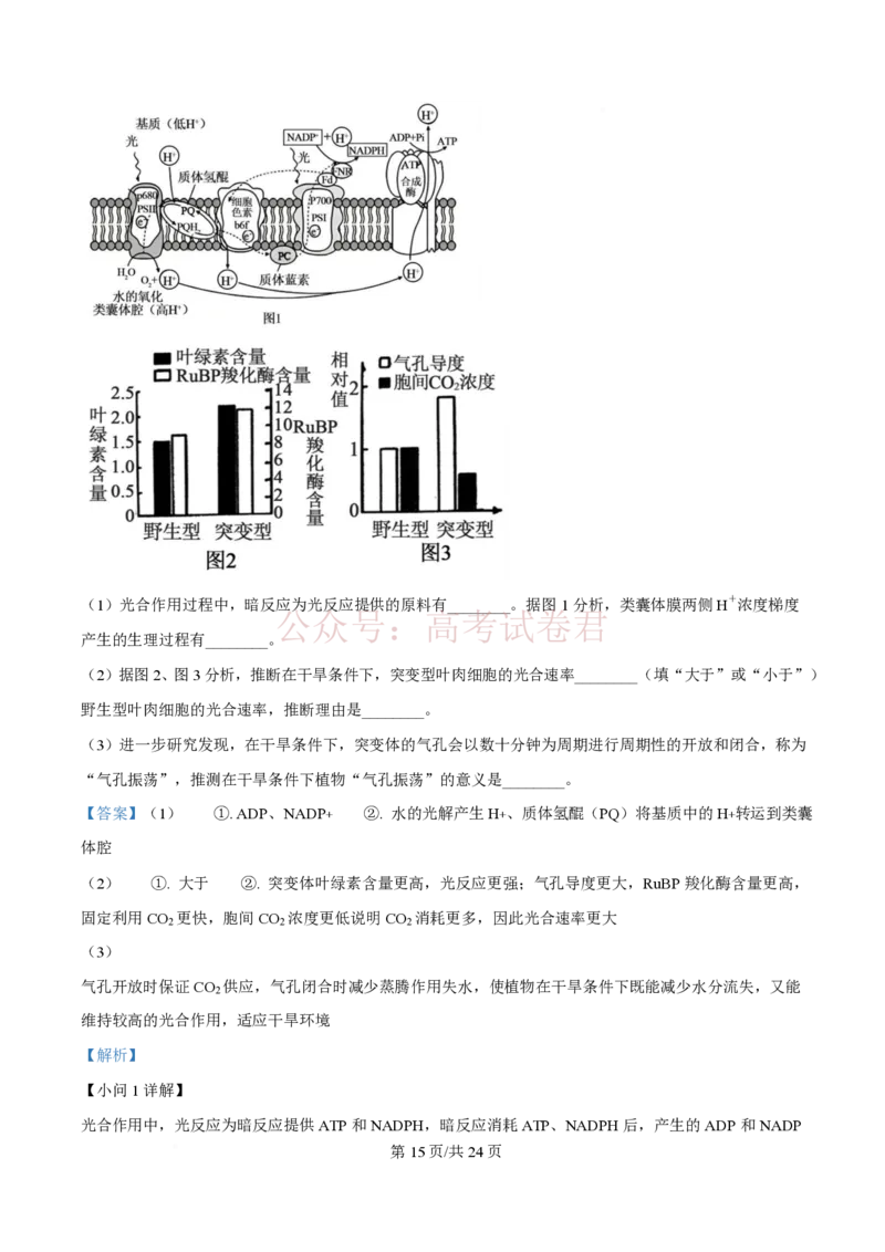 2026届山东九五协作体高三下学期3月学习质量评估（一模）生物（解析版）_2026届山东省九五协作体高三3月学习质量评估_06生物_山东省九五协作体高三3月学习质量评估