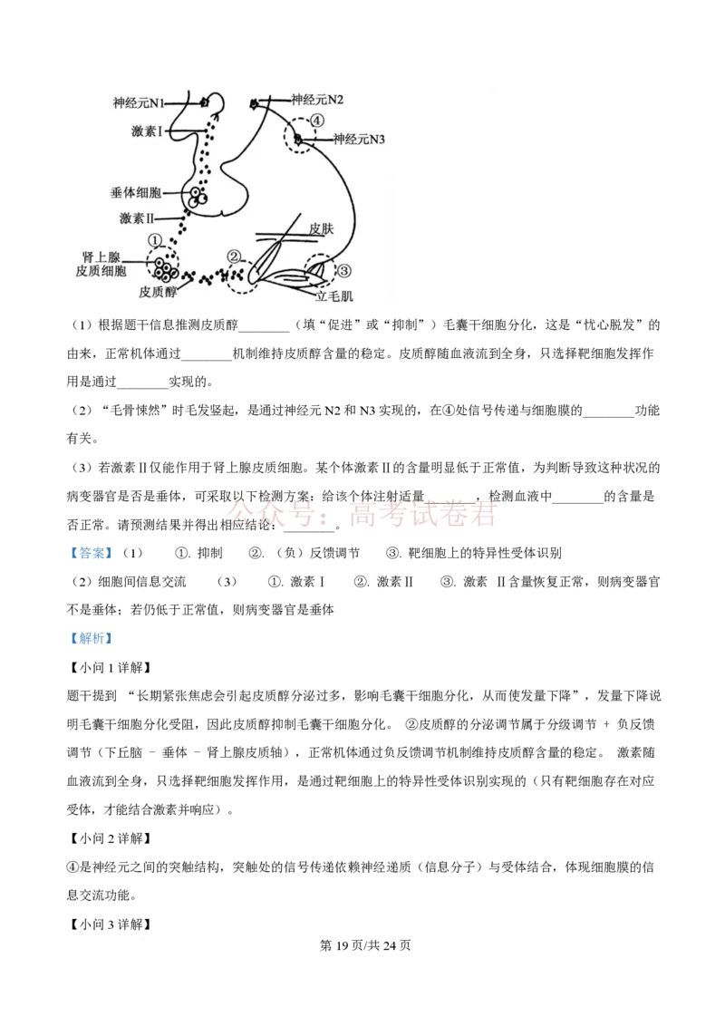 2026届山东九五协作体高三下学期3月学习质量评估（一模）生物（解析版）_2026届山东省九五协作体高三3月学习质量评估_06生物_山东省九五协作体高三3月学习质量评估