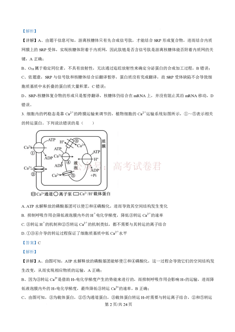 2026届山东九五协作体高三下学期3月学习质量评估（一模）生物（解析版）_2026届山东省九五协作体高三3月学习质量评估_06生物_山东省九五协作体高三3月学习质量评估