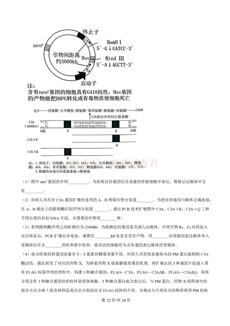 2026届山东九五协作体高三下学期3月学习质量评估（一模）生物（解析版）_2026届山东省九五协作体高三3月学习质量评估_06生物_山东省九五协作体高三3月学习质量评估