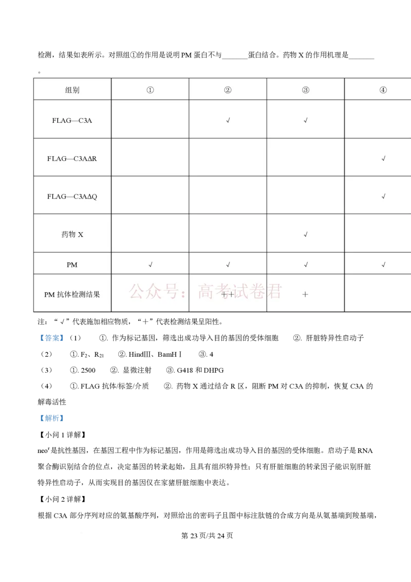 2026届山东九五协作体高三下学期3月学习质量评估（一模）生物（解析版）_2026届山东省九五协作体高三3月学习质量评估_06生物_山东省九五协作体高三3月学习质量评估