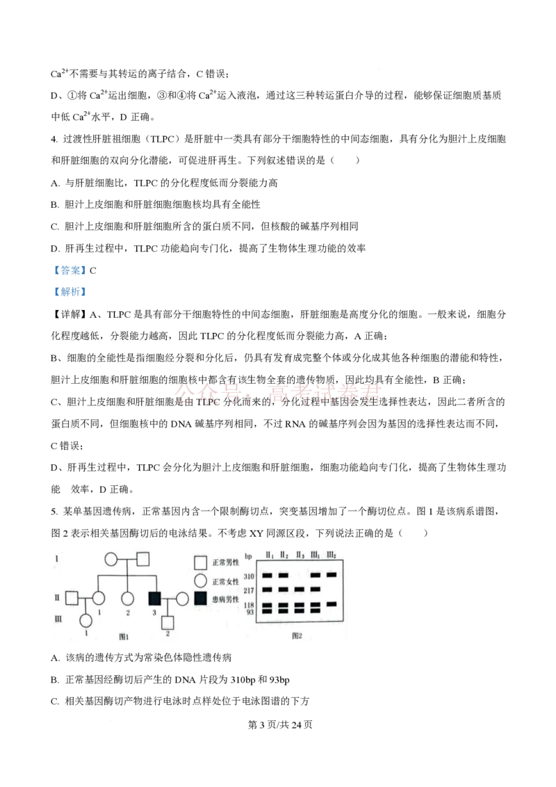 2026届山东九五协作体高三下学期3月学习质量评估（一模）生物（解析版）_2026届山东省九五协作体高三3月学习质量评估_06生物_山东省九五协作体高三3月学习质量评估
