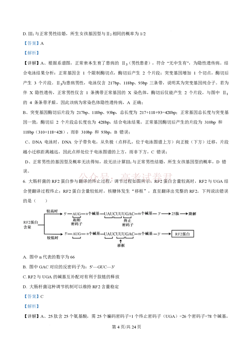 2026届山东九五协作体高三下学期3月学习质量评估（一模）生物（解析版）_2026届山东省九五协作体高三3月学习质量评估_06生物_山东省九五协作体高三3月学习质量评估