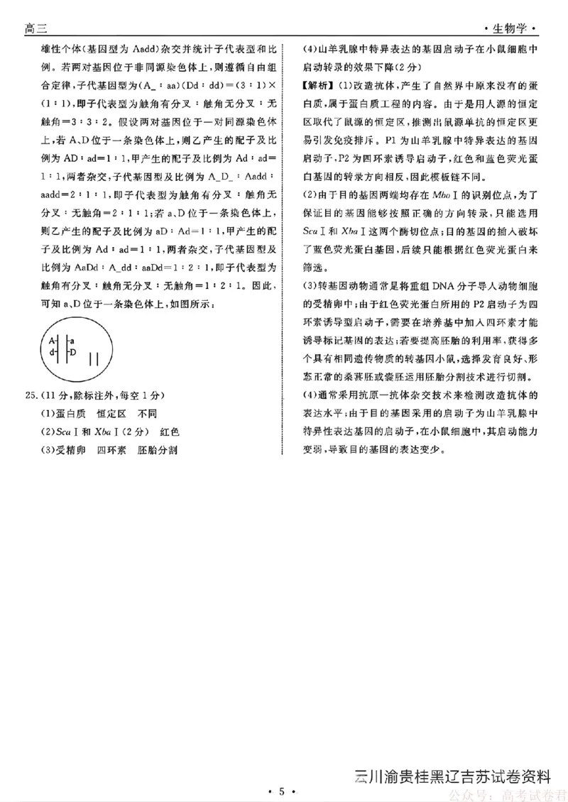 2026届辽宁名校联盟高三下学期3月联考生物（含答案）_2026届辽宁名校联盟高三下学期3月联考