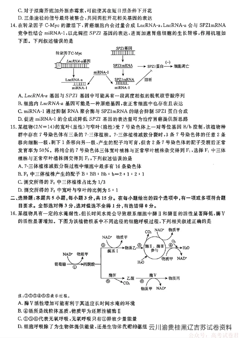 2026届辽宁名校联盟高三下学期3月联考生物（含答案）_2026届辽宁名校联盟高三下学期3月联考