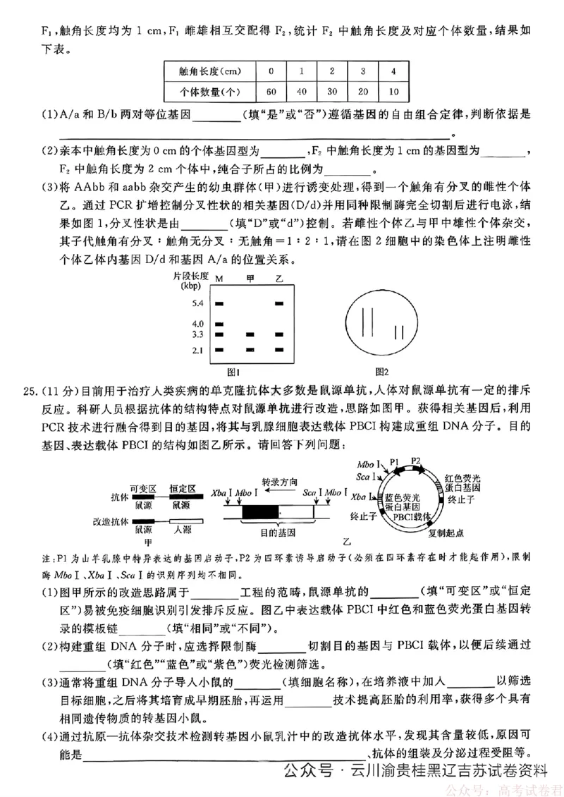 2026届辽宁名校联盟高三下学期3月联考生物（含答案）_2026届辽宁名校联盟高三下学期3月联考
