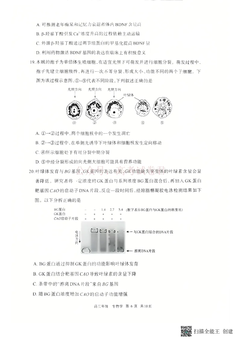 2026届内蒙古呼和浩特市高三下学期第一次模拟考试生物_2026届内蒙古呼和浩特市高三下学期第一次模拟考试全科_06生物_内蒙古呼和浩特市高三下学期第一次模拟考试
