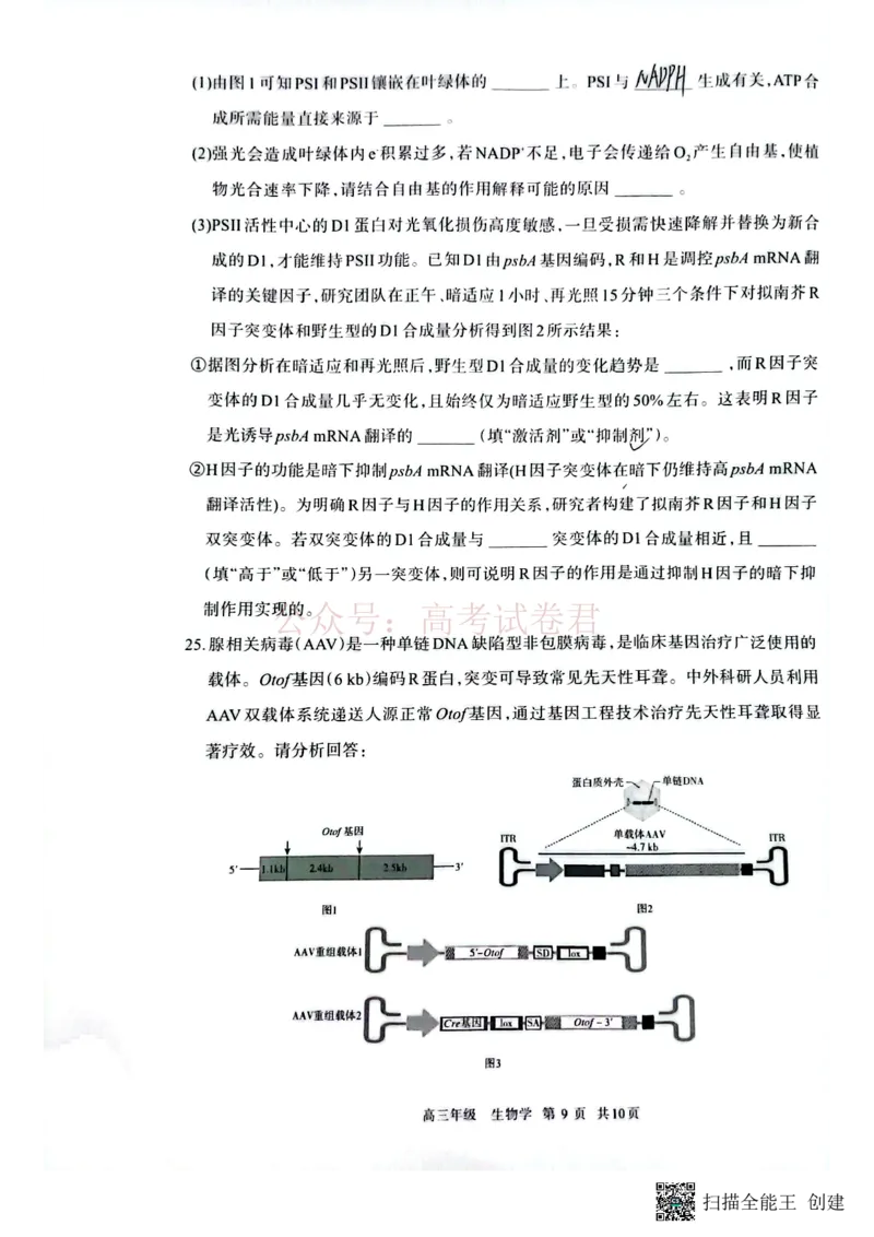 2026届内蒙古呼和浩特市高三下学期第一次模拟考试生物_2026届内蒙古呼和浩特市高三下学期第一次模拟考试全科_06生物_内蒙古呼和浩特市高三下学期第一次模拟考试