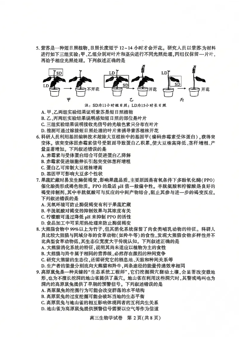 2026届武汉市高三（下）三月调研生物试卷_2026届湖北省武汉普通高中高三3月调考全科_2026届湖北省武汉普通高中高三3月调考生物