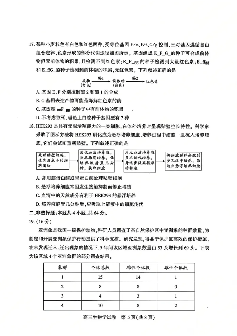 2026届武汉市高三（下）三月调研生物试卷_2026届湖北省武汉普通高中高三3月调考全科_2026届湖北省武汉普通高中高三3月调考生物