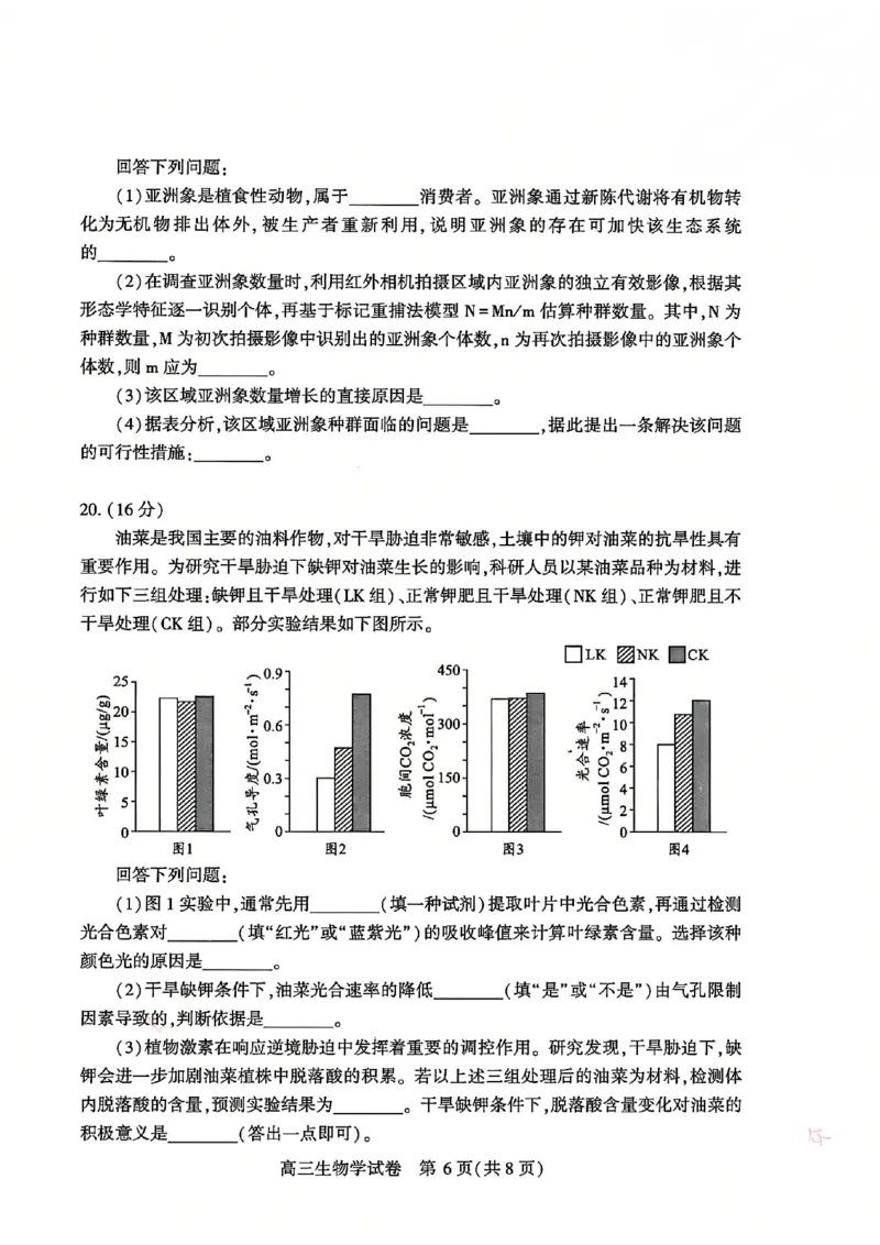 2026届武汉市高三（下）三月调研生物试卷_2026届湖北省武汉普通高中高三3月调考全科_2026届湖北省武汉普通高中高三3月调考生物