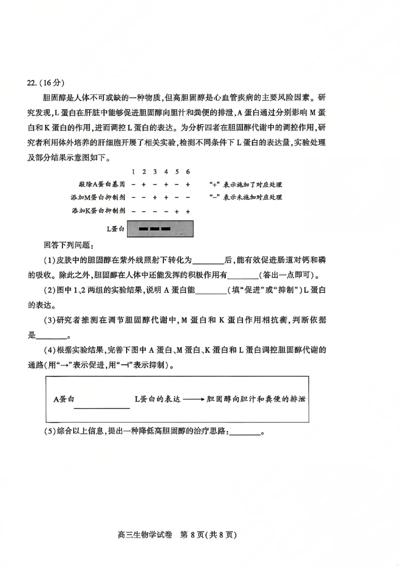 2026届武汉市高三（下）三月调研生物试卷_2026届湖北省武汉普通高中高三3月调考全科_2026届湖北省武汉普通高中高三3月调考生物