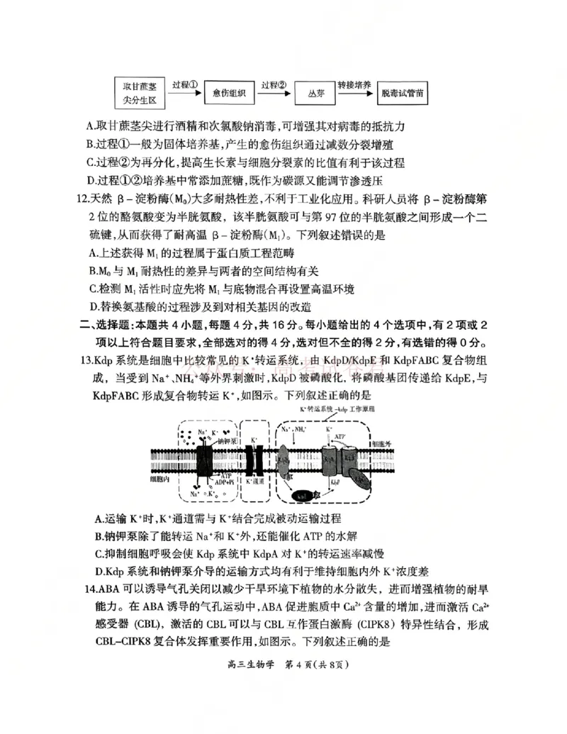 2026届江西吉安市高三下学期一模生物_2026届江西省吉安市高三下学期一模全科_06生物_江西省吉安市高三下学期一模