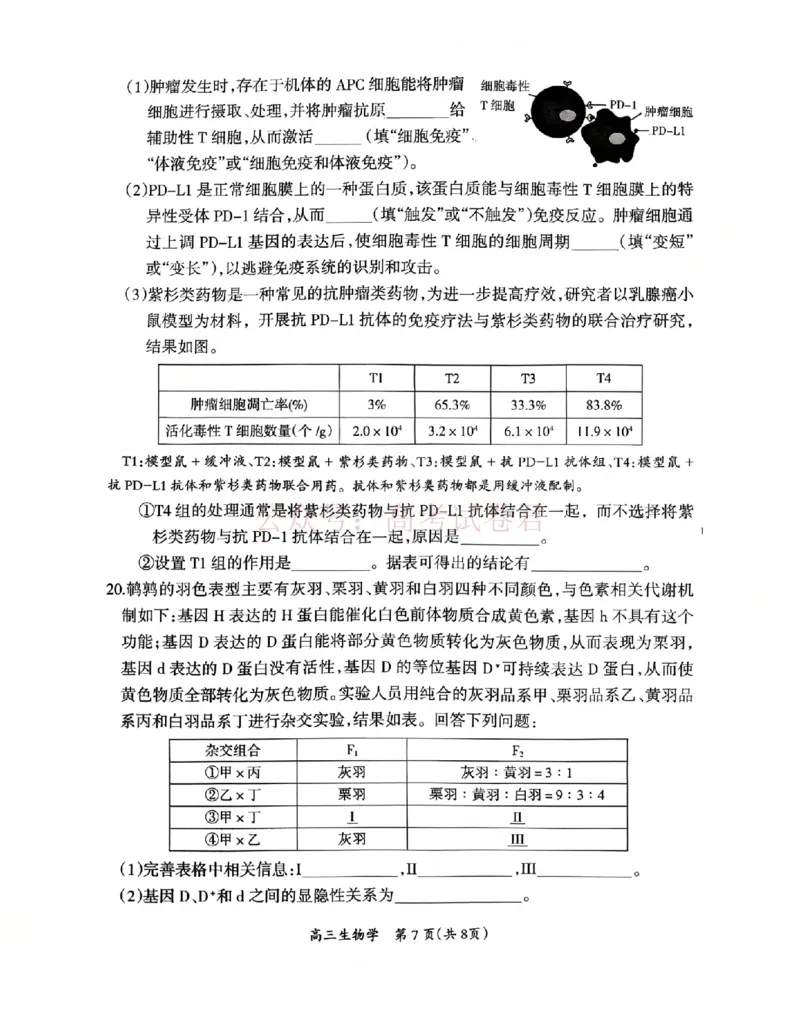 2026届江西吉安市高三下学期一模生物_2026届江西省吉安市高三下学期一模全科_06生物_江西省吉安市高三下学期一模