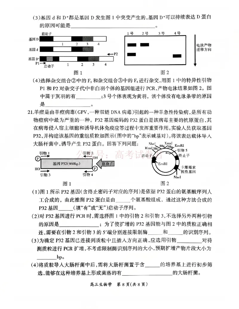 2026届江西吉安市高三下学期一模生物_2026届江西省吉安市高三下学期一模全科_06生物_江西省吉安市高三下学期一模