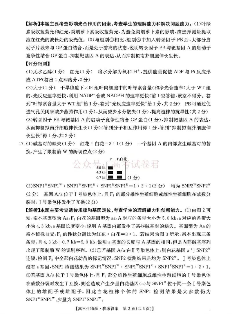 2026届安徽省示范高中皖北协作区高三下学期第28届联考(一模)生物试题卷答案_2026年安徽省示范高中皖北协作区第28届联考全科_06生物_安徽省示范高中皖北协作区第28届联考