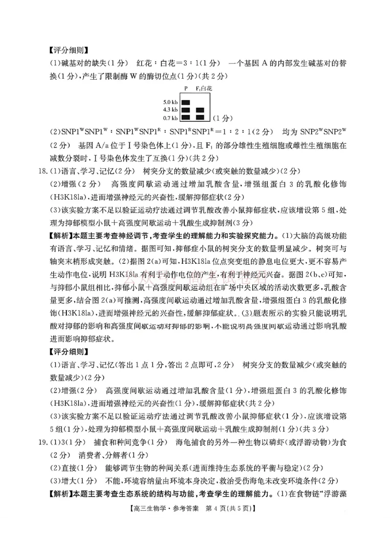 2026届安徽省示范高中皖北协作区高三下学期第28届联考(一模)生物试题卷答案_2026年安徽省示范高中皖北协作区第28届联考全科_06生物_安徽省示范高中皖北协作区第28届联考